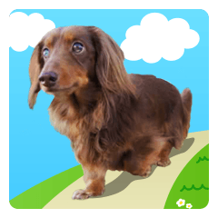 ココア・ミルク・クロちゃんスタンプ