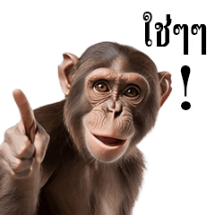 動く！リアル猿（タイ語）