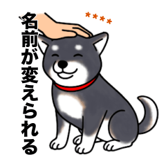 名前入り黒柴