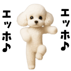 エッホエッホトイプードル