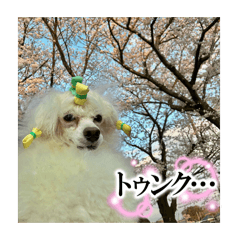 サニースタンプ1023