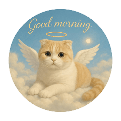 Cats in Heaven～scottish fold①