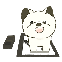 けあんの毎日毎年使えるスタンプ