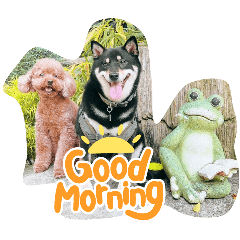 summer_20251115061911