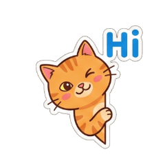 Ginger Cat's Daily Hustle