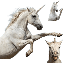 ユニコーン　実写