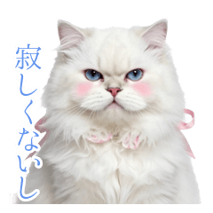 白猫様の高貴すぎる引越し見送り