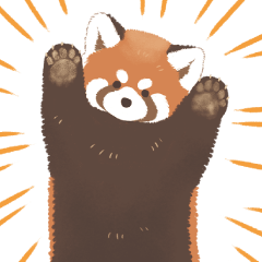 ZOOm in Animals レッサーパンダ