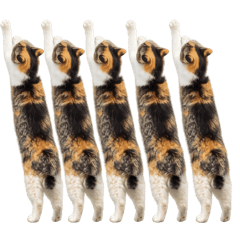 くそかわ三毛猫ちゃんZ