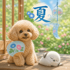 とびだす★夏 トイプードル★わんこ♡犬