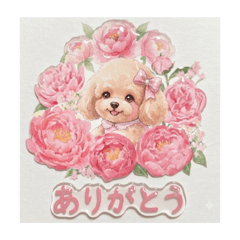 ぷくぷく可愛いシール＊一年中使えるセリフ