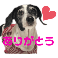 ぽっきーちゃん