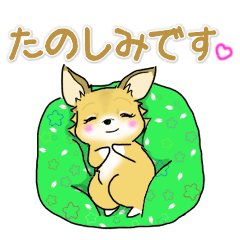 チワワのサクラちゃん【女性向】