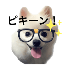 バニラのカタカナ