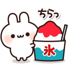 夏を満喫♪しろうさちゃん