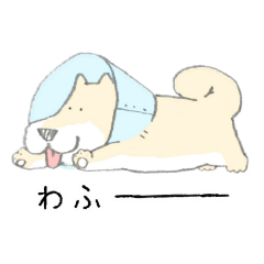 エリザベスカラーわんこ