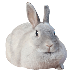 ぽぽたむさまのまふまふスタンプ