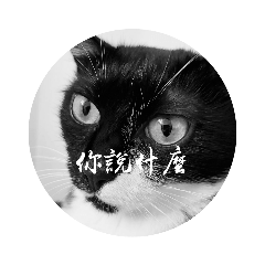 bonnie_20191011125156